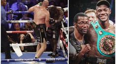 Boxer Wilder se rozloučil s trenérem. Za vhození ručníku dostal vyhazov