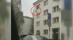 Pro rostlinu konopí vylezl muž do třetího patra po hromosvodu!