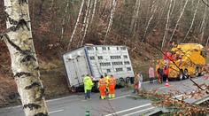 Nehoda kamionu uvěznila řidiče a 180 prasat. Dvacet jich pošlo
