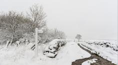 Až 10 cm za hodinu. Meteorologické modely předpovídají obří sněhovou bouři