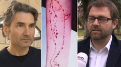 Odborníci: Modrá velryba je lákavá a pohltí účastníka jako droga