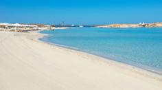Panika na Mallorce: U pláže se objevil dvoumetrový žralok!