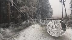 Všude skoro jaro, na Vysočině ledová apokalypsa! Námraza lámala i stromy