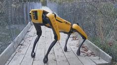 Technologická revoluce! Robot dokáže pást ovce