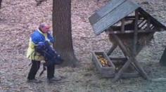VIDEO: Zloděj loupil kukuřici, přistihla ho kamera