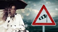 Varování meteorologů: V neděli hrozí vichřice! Bude lámat stromy!