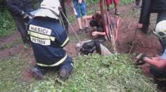 Kůň spadl do nepoužívané jímky. Zachránili ho hasiči. VIDEO