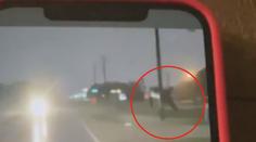 VIDEO: Skutečné Žralokonádo? Řidiče vyděsil letící žralok, kterého odnesla bouře
