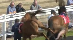 VIDEO: Děsivý moment při dostizích. Kůň nakopl vší silou mladou ženu do zad