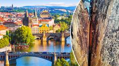 Kůrovec už řádí i v Praze. Úplně zlikvidoval stromy v oblíbeném parku