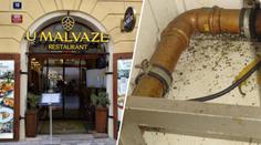V Praze zavřeli oblíbenou restauraci. Inspekce tam odhalila vážné pochybení