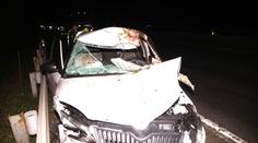 Auto zabilo na rychlostní silnici u Kladna koně, posádka zraněna