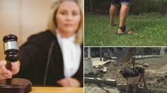 Věznice jsou přeplněné, vláda to chce změnit! Cílem jsou alternativní tresty