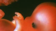 Chlapečka (4) bolelo bříško, ukázalo se, že je těhotný!