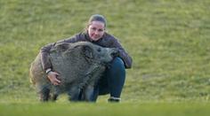V české stanici mají kuriozitu. Místo psa ji hlídá divoké zvíře