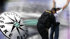 Chytili zloděje, kteří ukradli ze zámku velmi drahé nosorožčí rohy