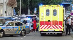 Policie řeší ubodání dítěte v Praze 6. Matku zadrželi, pokusila se pak zabít