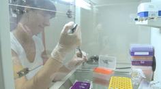 Epidemie žloutenky A stále nepolevuje. Nejhorší je situace v Brně