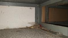 Inspekce zavřela sklad Hrušky ve Znojmě. Našla tam trus i mrtvého hlodavce