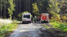 Orkán má třetí oběť! Na muže spadl strom, v nemocnici zemřel