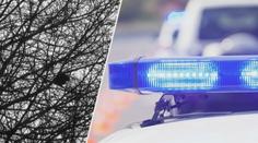 VIDEO: Policisty vystrašila siréna. Neuvěříte, co hluk způsobilo