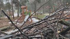 Vichr a sněhová kalamita zničily slovenskou zoo. Nedá se to ani popsat, říká ředitel
