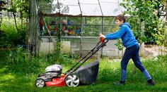 Trávník roste i v listopadu. Zahrádkáři řeší, jestli ho ještě sekat, či nechat růst