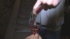 Vědci z Brna vyvinuli unikátní metodu. Rozpozná snadno původ i kvalitu vína