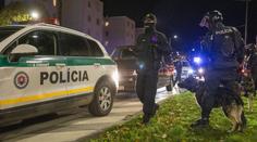 Krvavá bitka na Slovensku. Létaly kosy i sekery, ženu napadli mačetou