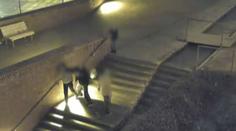 Mladíci chtěli pomoci opilému muži s dítětem, on na ně zaútočil