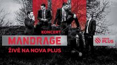 PŘÍMÝ PŘENOS: Koncert MANDRAGE! Může ho vidět každý!