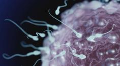 Covid-19 zřejmě snižuje potenci. Mužům ničí spermie, tvrdí experti