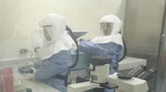 Vše o smrtícím viru EBOLA: Jak se přenáší, jaké jsou příznaky?