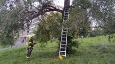 Chlapci se na stromě zaseknul dron. Když pro něj lezl, uvázl tam také