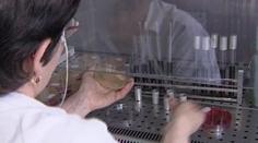 Krádež nebezpečných látek a chemikálií