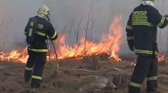 Obrovský lesní požár zachvátil Ostravsko