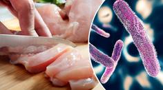 Epidemie pokračuje: Salmonelou se nakazilo i 24 zdravotníků!