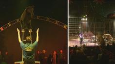 VIDEO: Patří zvířata do cirkusu nebo ne? HLASUJTE