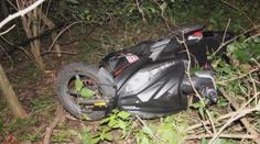 Zdrogovaný řidič ujížděl před policisty. Nakonec se schoval na stromě!