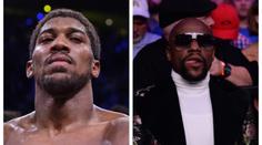 Lvi po boku lvů. Slavný boxer bude trénovat s největšími legendami