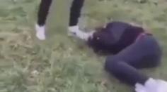 Masakr v ústeckém parku. Dívka kopala druhou do břicha a do hlavy