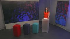 Premiér Babiš na Demografickém summitu v Budapešti