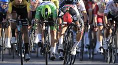 Sagan byl diskvalifikován! Etapu vyhrál Ewan, žlutý zůstává Roglič