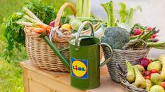Lidl po celé republice otevírá jedlé školní zahrady