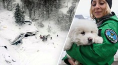 Počet obětí laviny dál roste! Zatím zachránili 11 lidí a štěňátka! VIDEO