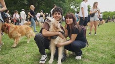 V Buenos Aires se sešlo skoro 2 400 zlatých retrívrů. Vytvořili světový rekord