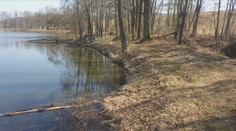 Pytlák na jihu Čech zastřelil dvě chráněné vydry. Případ šetří kriminálka