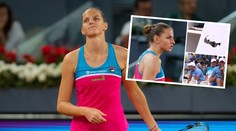 Vzteklá Plíšková zná svůj trest: Toto zaplatí za rozbitý umpire!