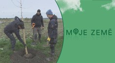 VIDEONÁVOD: Odborník vám poradí, jak správně zasadit strom