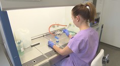 Britská mutace masivně zasáhla v ČR první okresy. Má ji třetina testovaných